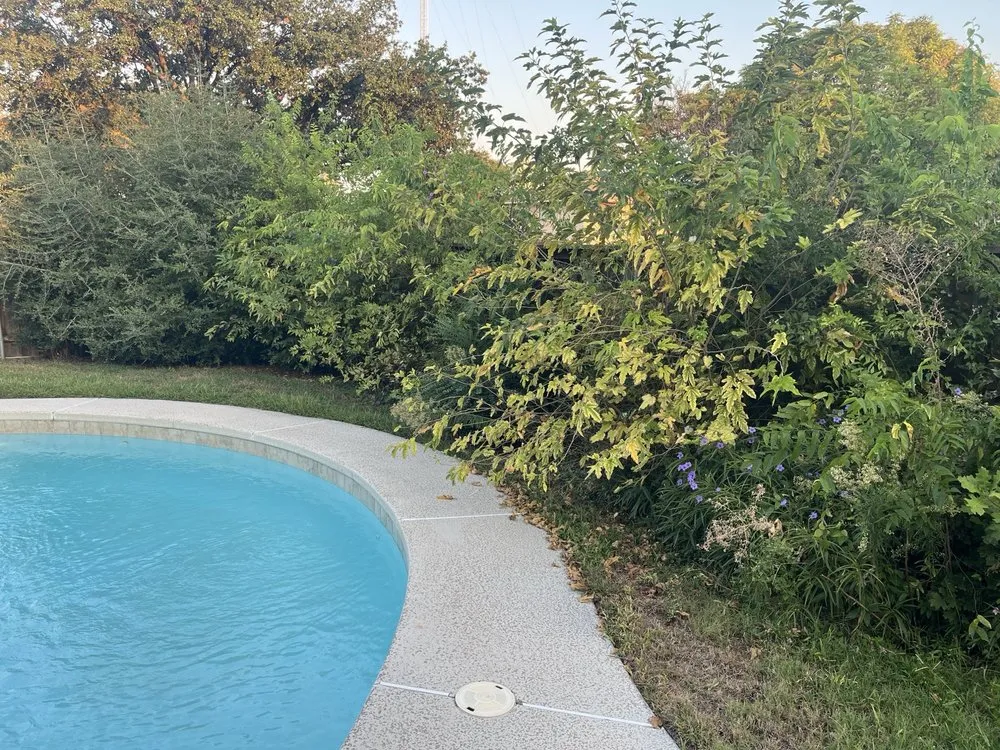 Professional outdoor landscaping in Dallas, TX by ALT Landscaping