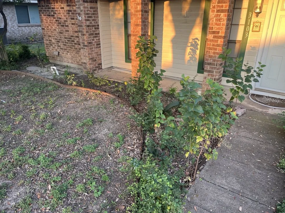 Affordable lawn mowing service experts serving Dallas, TX - ALT Landscaping