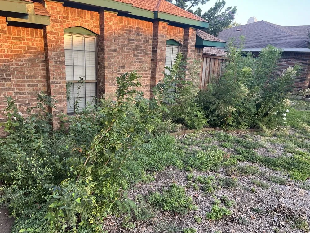 Affordable landscape design in Dallas, TX - ALT Landscaping