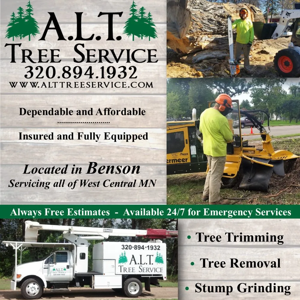 Local outdoor landscaping for outdoor upgrades across Benson, MN - ALT Tree Service