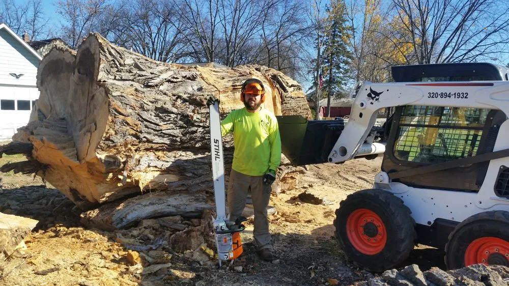 Expert landscape design experts serving Benson, MN - ALT Tree Service