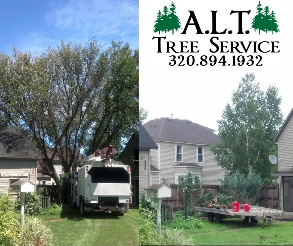Professional garden landscaping experts serving Benson, MN - ALT Tree Service