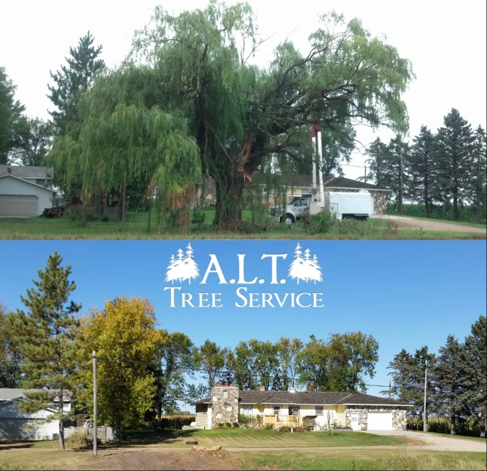 Top-rated landscaping services for homes in Benson, MN by ALT Tree Service