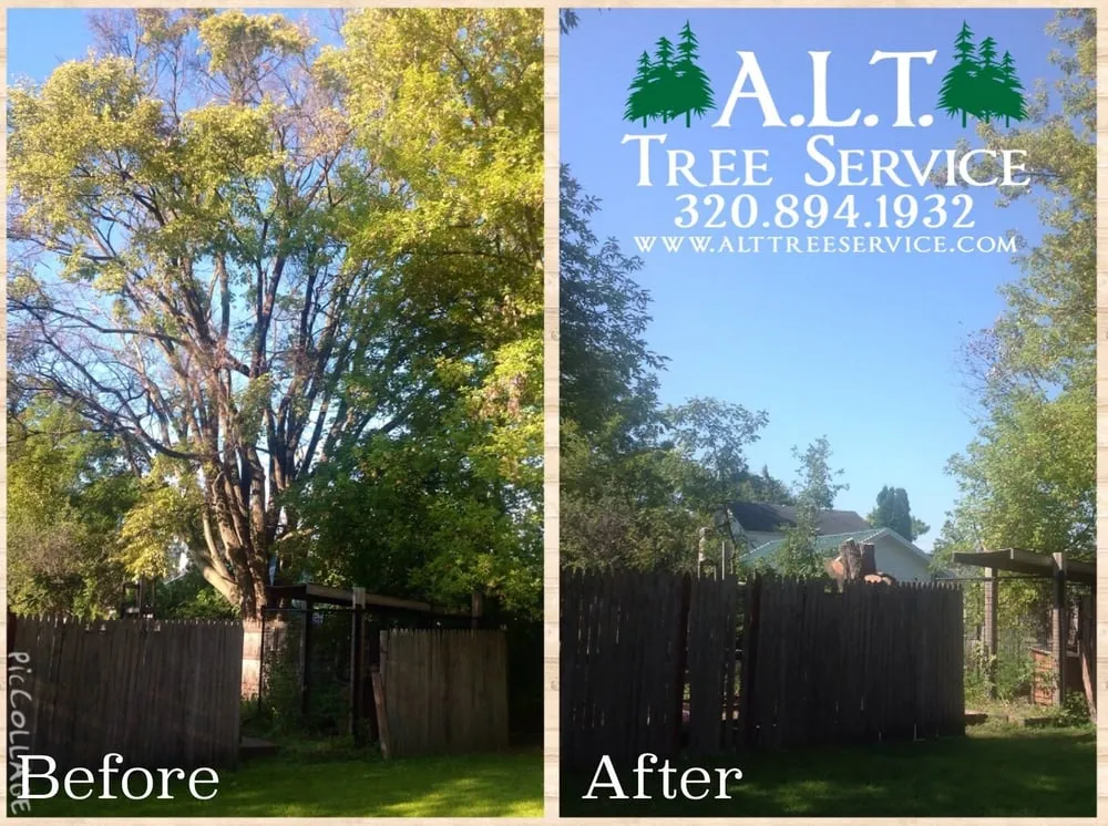Expert outdoor landscaping experts serving Benson, MN - ALT Tree Service