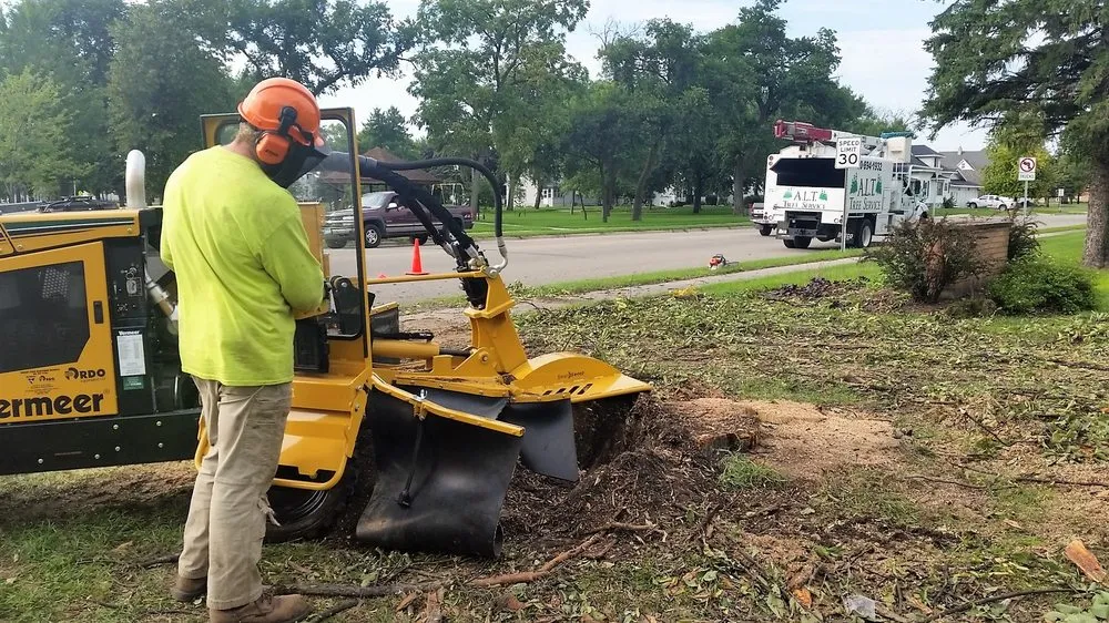 Professional outdoor landscaping in Benson, MN - ALT Tree Service