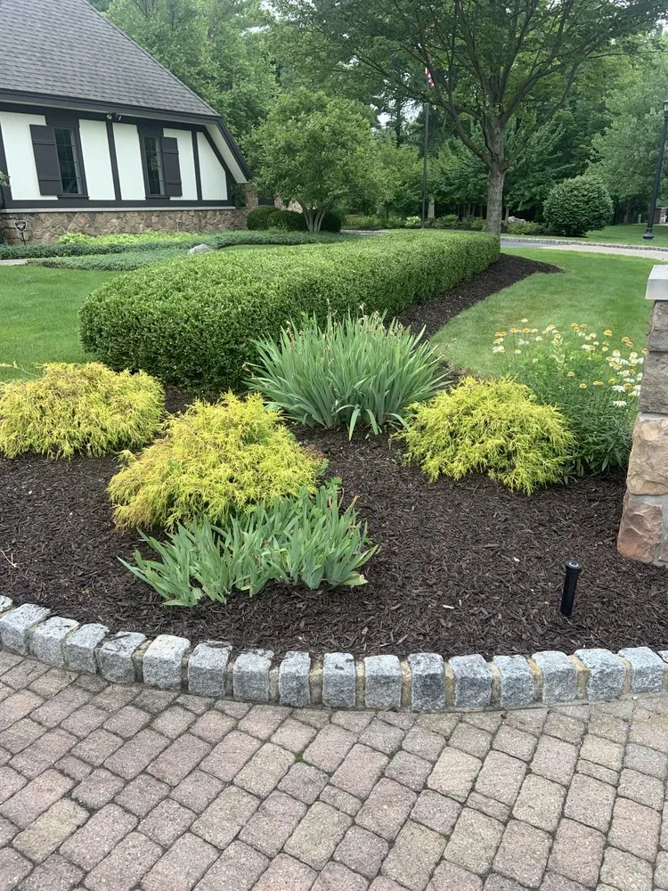 Expert outdoor landscaping for beautiful yards across Grand Rapids, MI - Alta Landscape Management