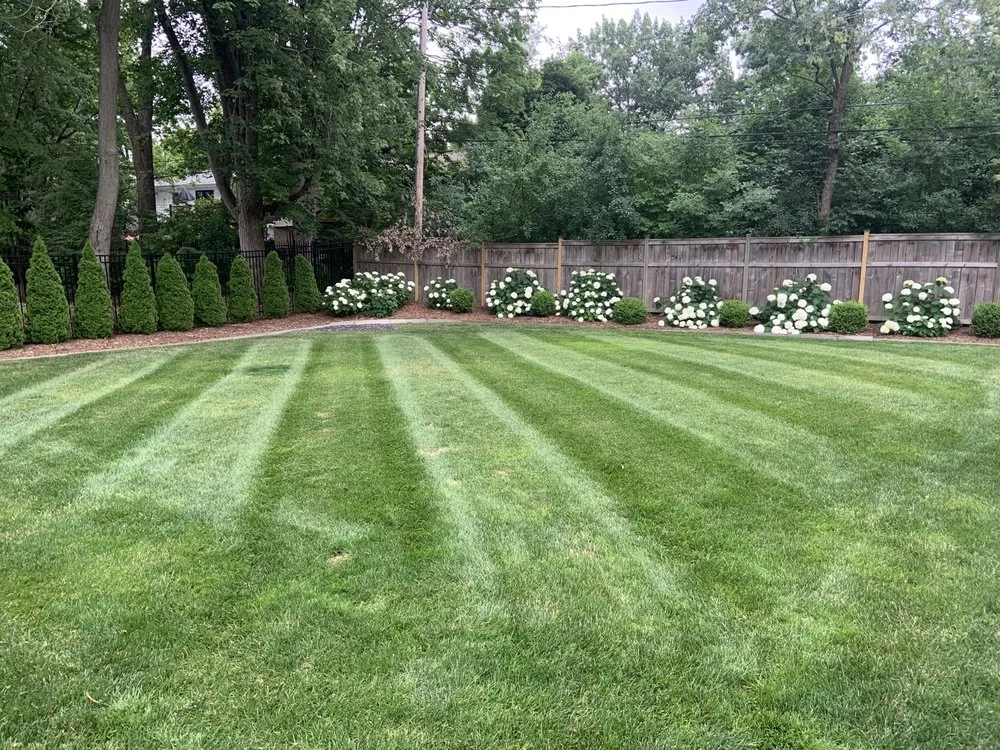 Affordable landscaping services in Grand Rapids, MI by Alta Landscape Management
