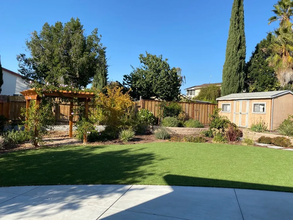 Expert yard maintenance in Union City, CA by Alta Landscape
