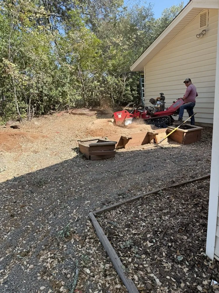 Professional yard cleanup service experts serving Placerville, CA - Alta Vista Landscaping and Tree Service