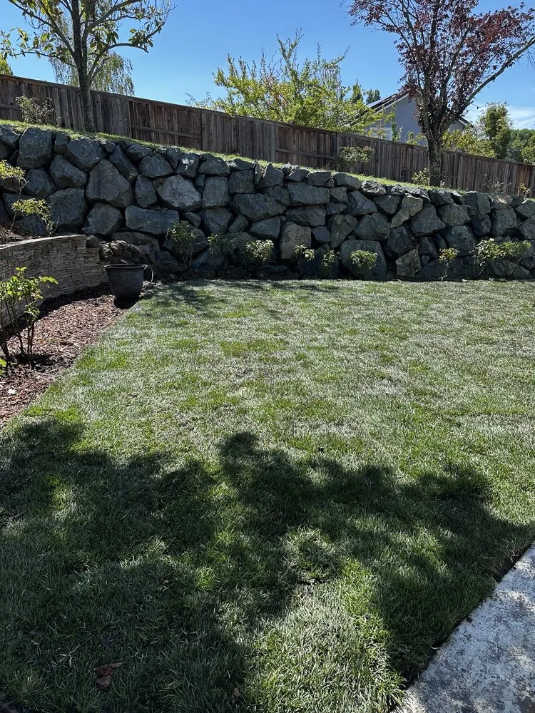 Professional lawn mowing service in Placerville, CA by Alta Vista Landscaping and Tree Service