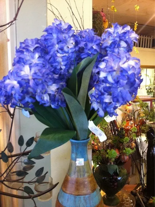 Top-rated yard cleanup service in Placerville, CA by Alta Vista Landscaping and Tree Service