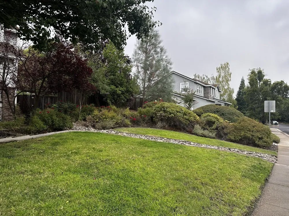 Trusted outdoor landscaping in Placerville, CA - Alta Vista Landscaping and Tree Service