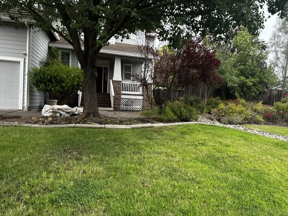 Affordable yard cleanup service experts serving Placerville, CA - Alta Vista Landscaping and Tree Service