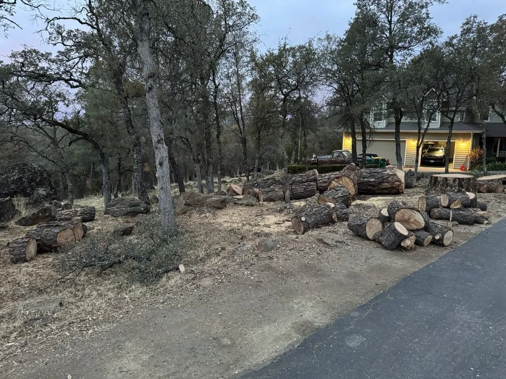 Custom residential landscaping for year-round maintenance in Placerville, CA by Alta Vista Landscaping and Tree Service