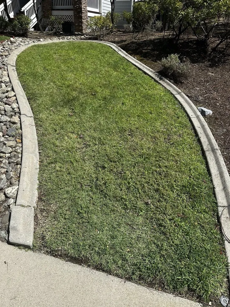 Professional yard maintenance experts serving Placerville, CA - Alta Vista Landscaping and Tree Service