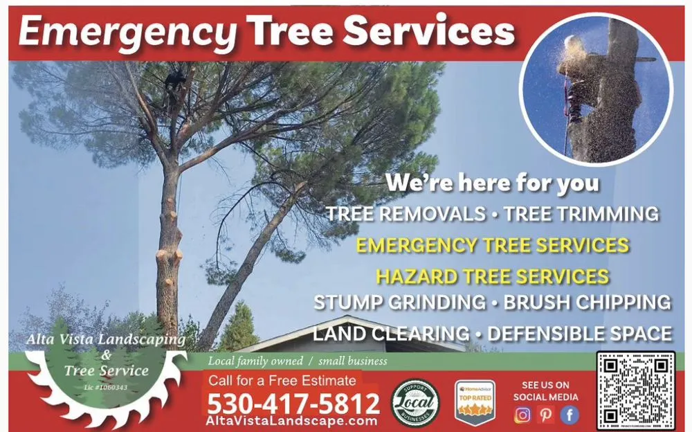 Affordable landscape design in Placerville, CA - Alta Vista Landscaping and Tree Service