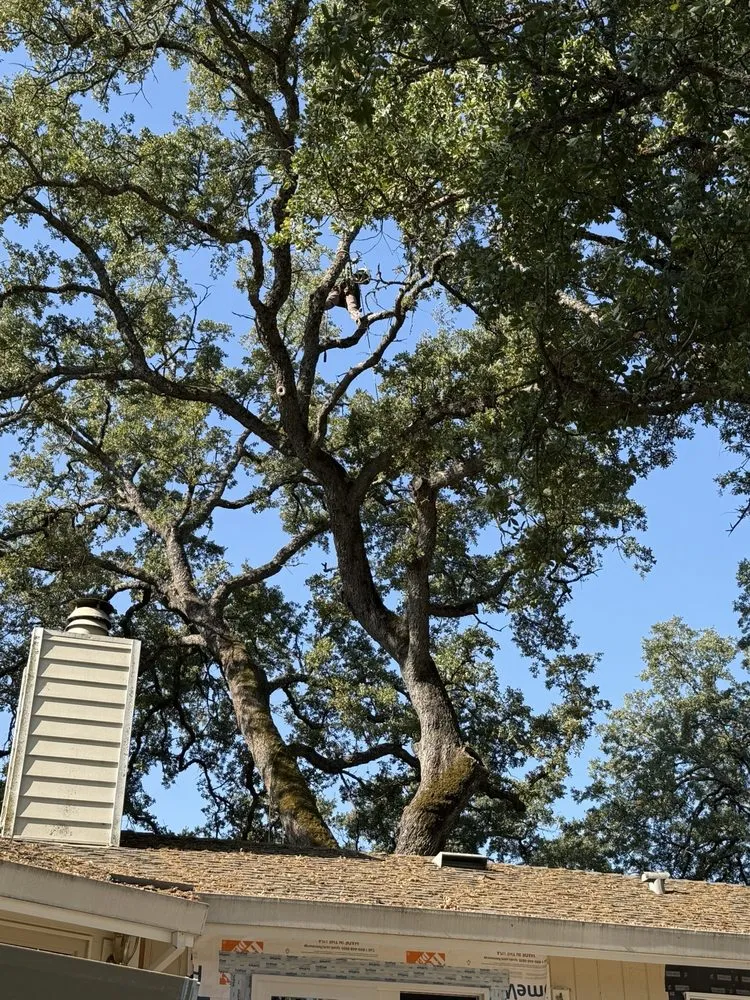 Reliable outdoor landscaping near you in Placerville, CA by Alta Vista Landscaping and Tree Service