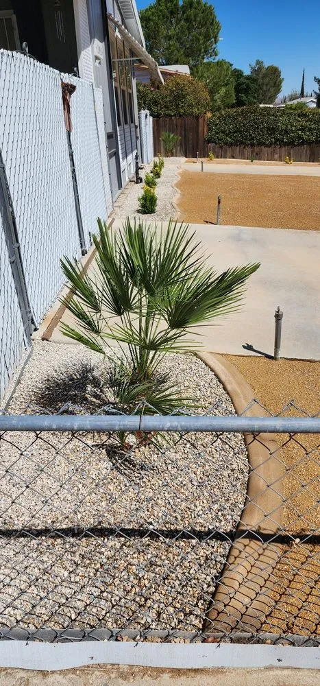 Expert yard cleanup service in Victorville, CA - Altamirano Landscape