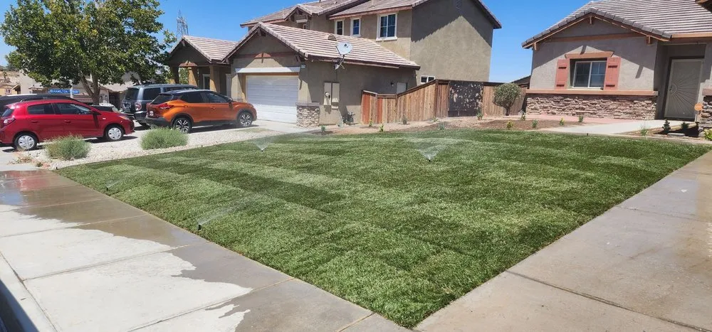 Expert yard cleanup service for residential properties across Victorville, CA - Altamirano Landscape