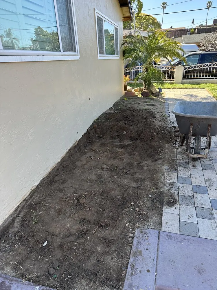 Trusted yard cleanup service near you in San Diego, CA by Altamirano landscaping