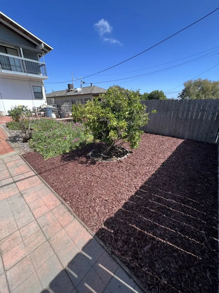 Affordable landscape design in San Diego, CA - Altamirano landscaping