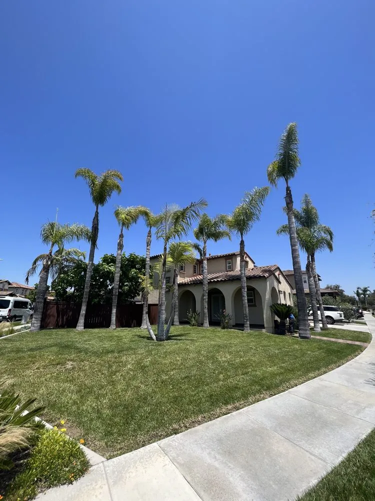 Trusted landscape installation for homes in San Diego, CA by Altamirano landscaping