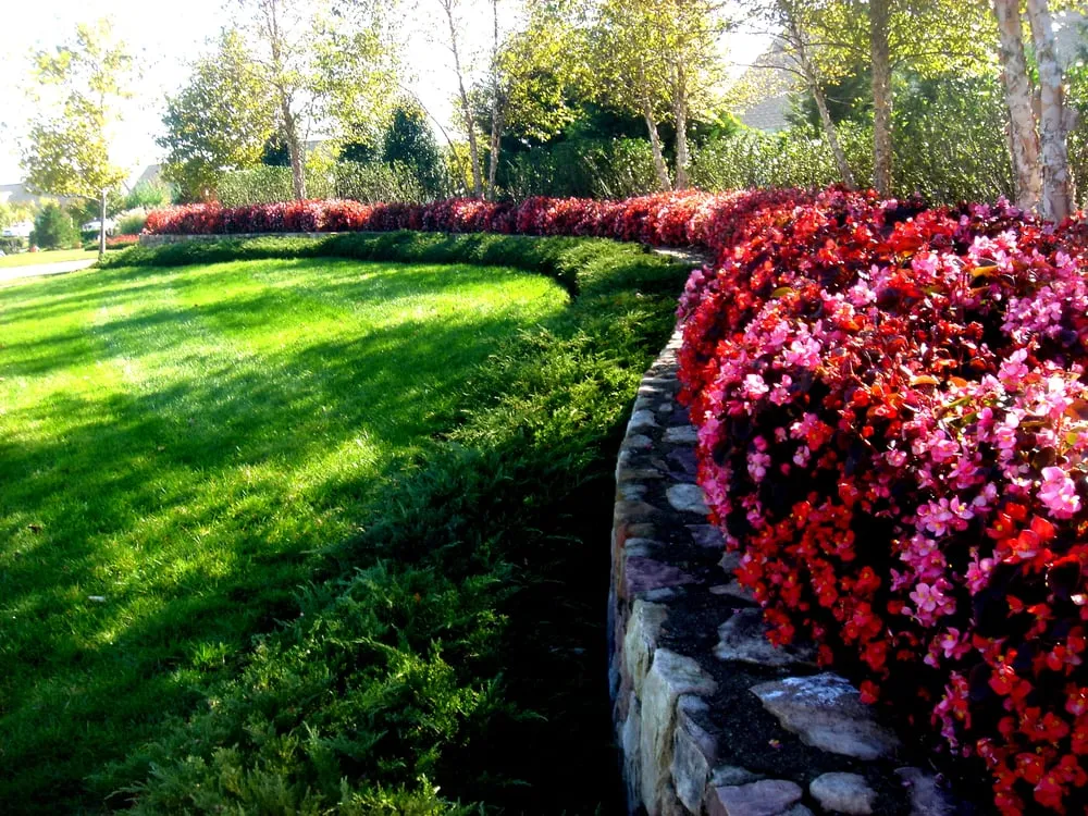 Trusted residential landscaping experts serving Manassas, VA - Altavista Landscaping