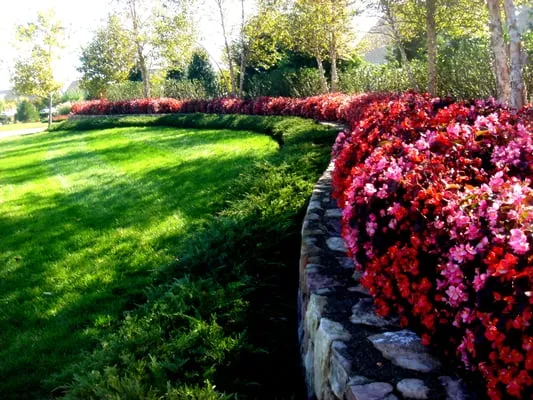 Altavista Landscaping Logo