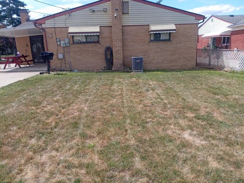 Professional yard cleanup service experts serving Ypsilanti, MI - Alter Ambur Managment