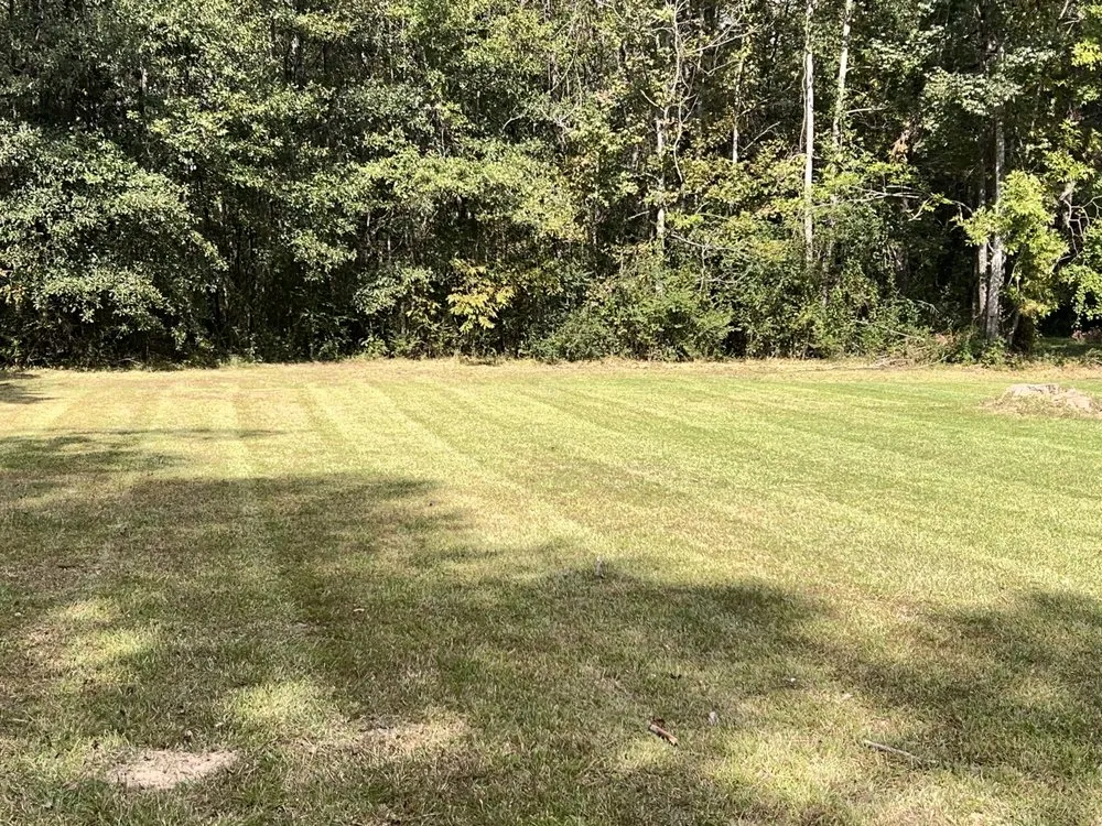 Trusted garden landscaping in Denham Springs, LA - Alter Landscaping & Pressure Washing