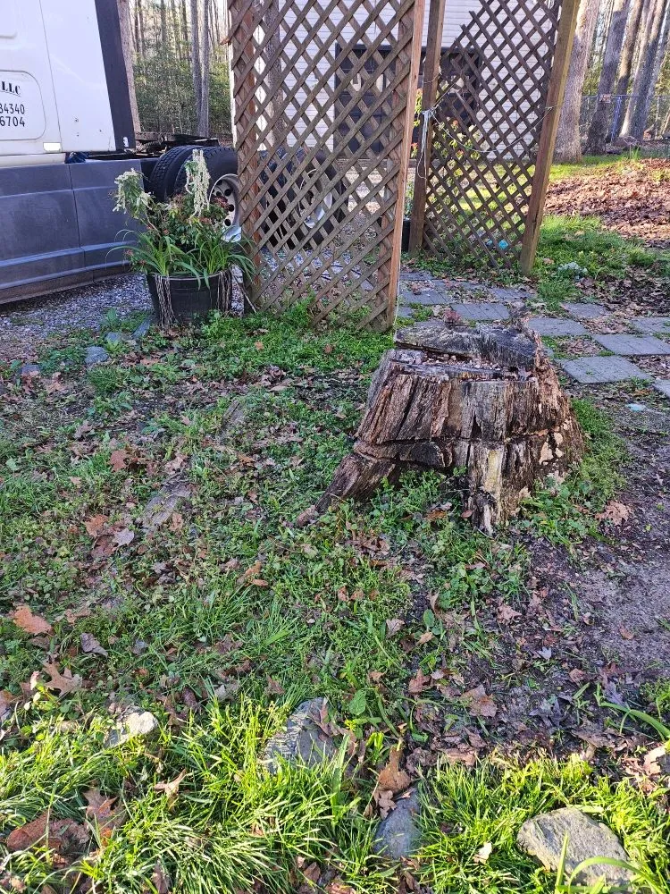 Custom yard cleanup service near you in Spotsylvania Courthouse, VA by Altered Cutz Lawn Care