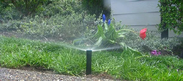 Affordable lawn mowing service for outdoor upgrades in Olympia, WA by Alternate Rain Company