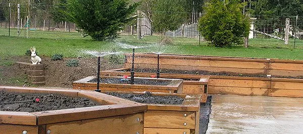 Expert landscaping services experts serving Olympia, WA - Alternate Rain Company