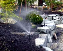 Expert landscape design in Olympia, WA by Alternate Rain Company