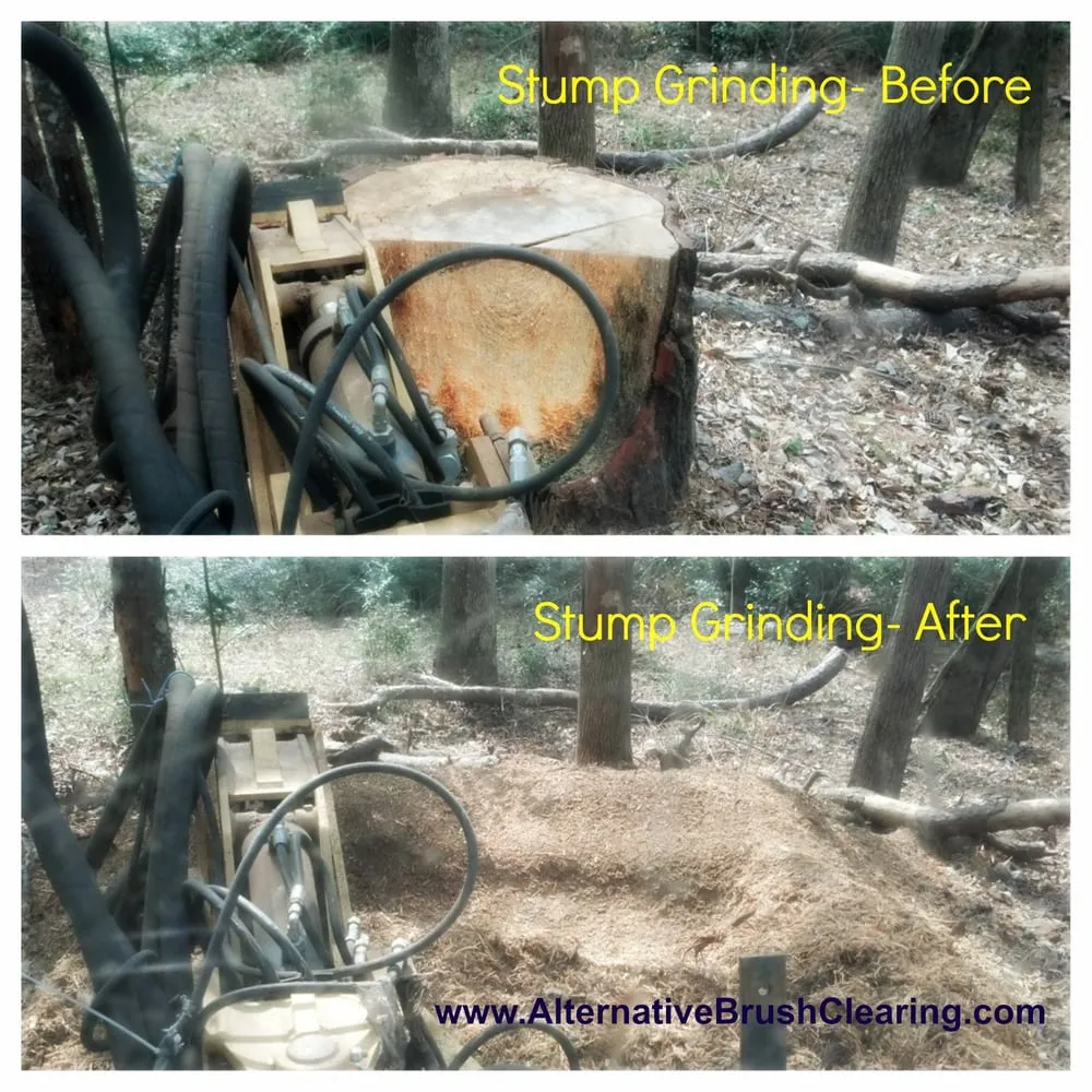 Trusted yard cleanup service for residential properties across Livingston, TX - Alternative Brush Clearing