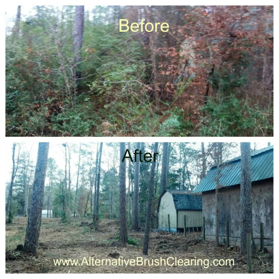 Professional yard maintenance experts serving Livingston, TX - Alternative Brush Clearing