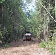 Local residential landscaping in Livingston, TX by Alternative Brush Clearing