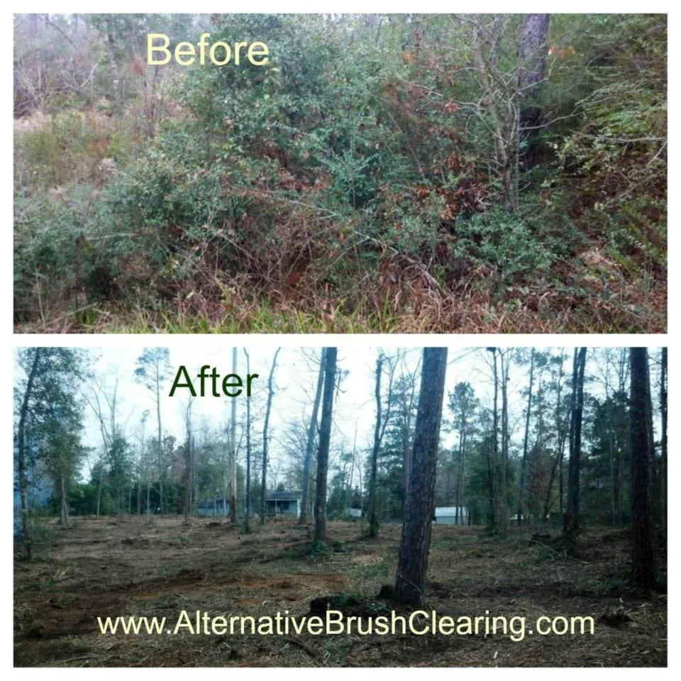 Top-rated landscaping services in Livingston, TX - Alternative Brush Clearing