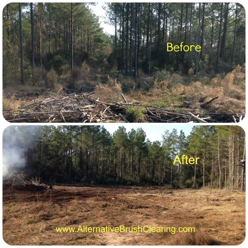 Top-rated landscape design in Livingston, TX - Alternative Brush Clearing