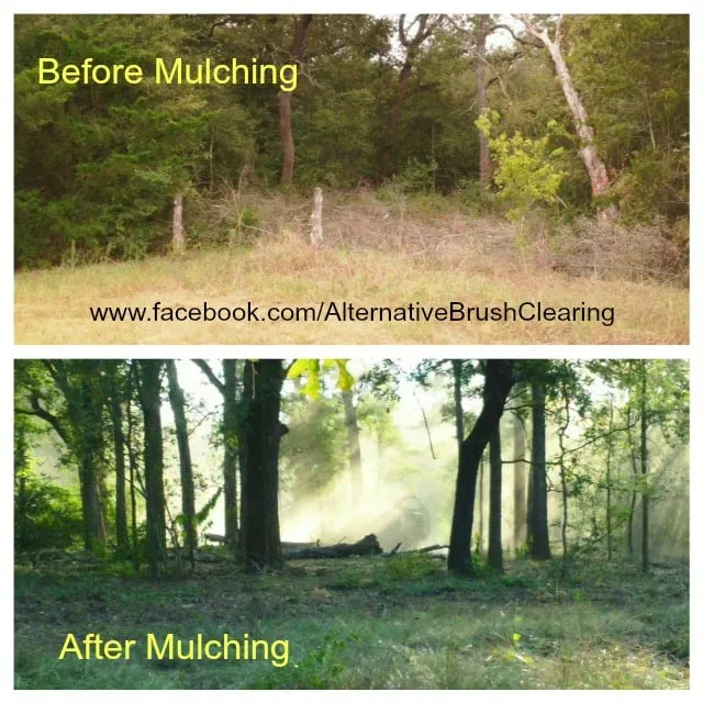 Reliable outdoor landscaping with custom design in Livingston, TX by Alternative Brush Clearing