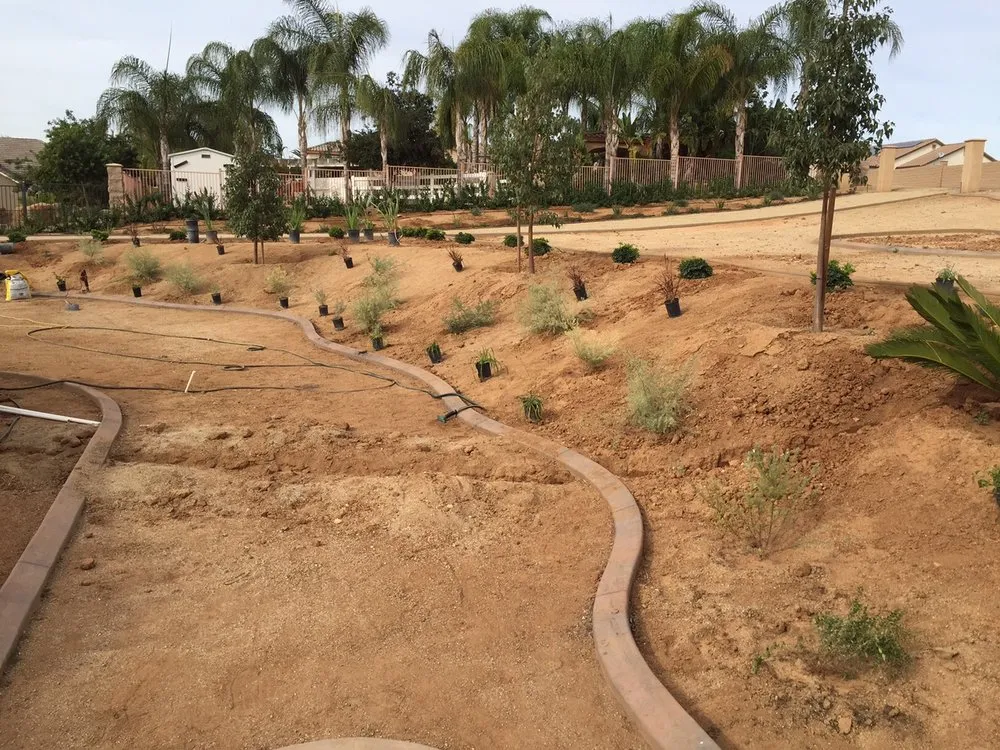 Expert lawn mowing service with custom design in Riverside, CA by Alternative Edge Custom Curb Design