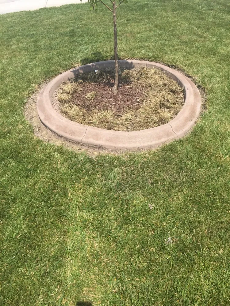 Expert landscaping services experts serving Lafayette, IN - Alternative Edge Lawn & Landscaping