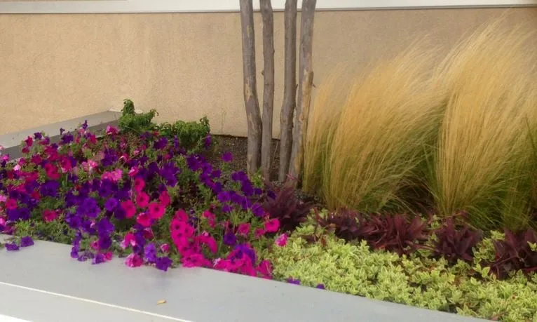 Top-rated landscape installation in Villa Rica, GA by Alternative Environments