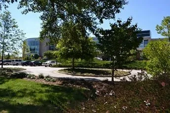 Affordable lawn mowing service in Villa Rica, GA - Alternative Environments