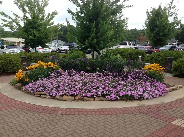 Top-rated lawn care service in Villa Rica, GA - Alternative Environments