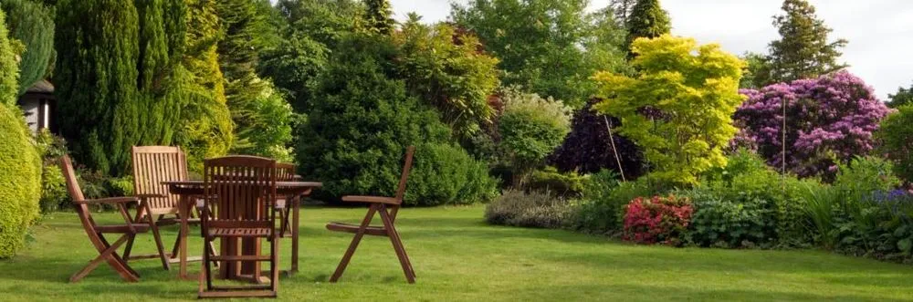 Professional yard cleanup service near you in Villa Rica, GA by Alternative Environments