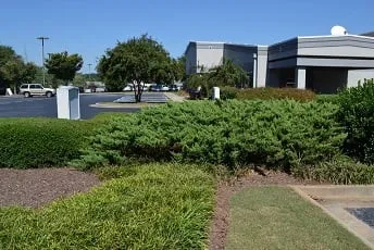 Professional landscape installation for homes across Villa Rica, GA - Alternative Environments