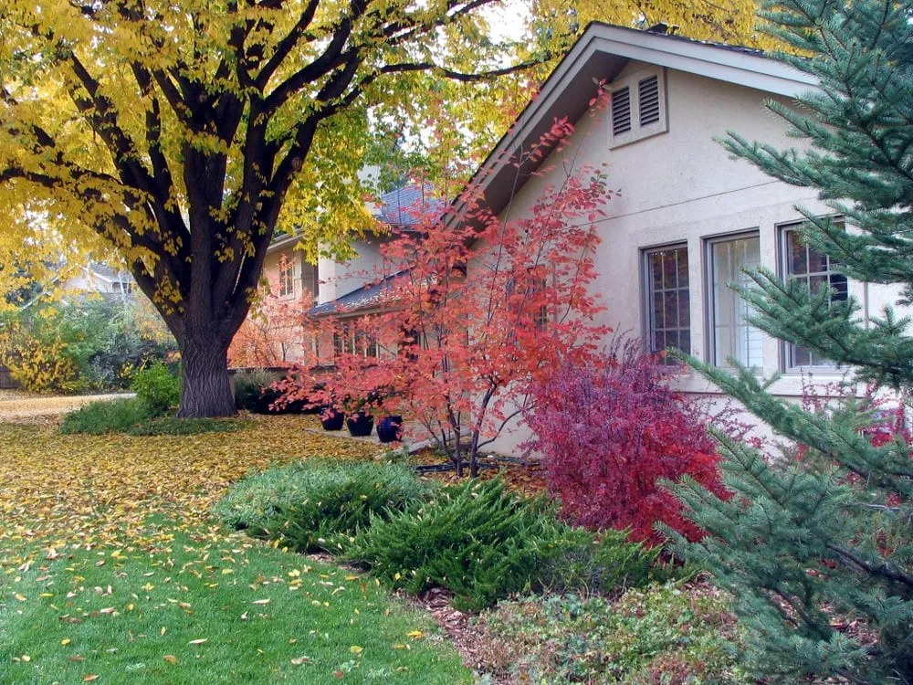 Top-rated lawn care service in Lakewood, CO - Alternative Land Design