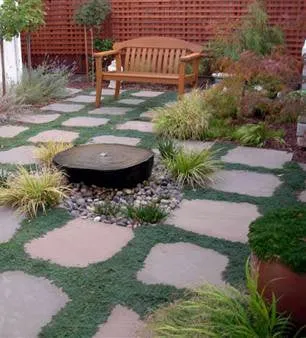 Trusted lawn care service for year-round maintenance in Lakewood, CO by Alternative Land Design