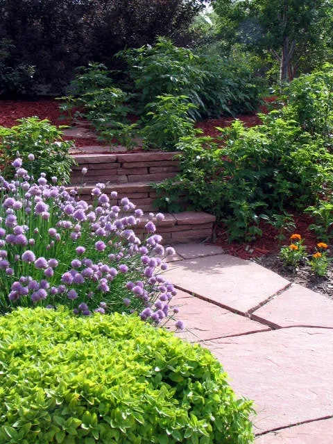 Professional landscaping services in Lakewood, CO - Alternative Land Design